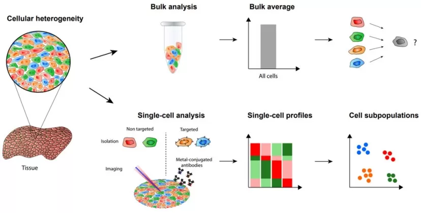 Fig. 1 Bulk vs. single-cell analysis